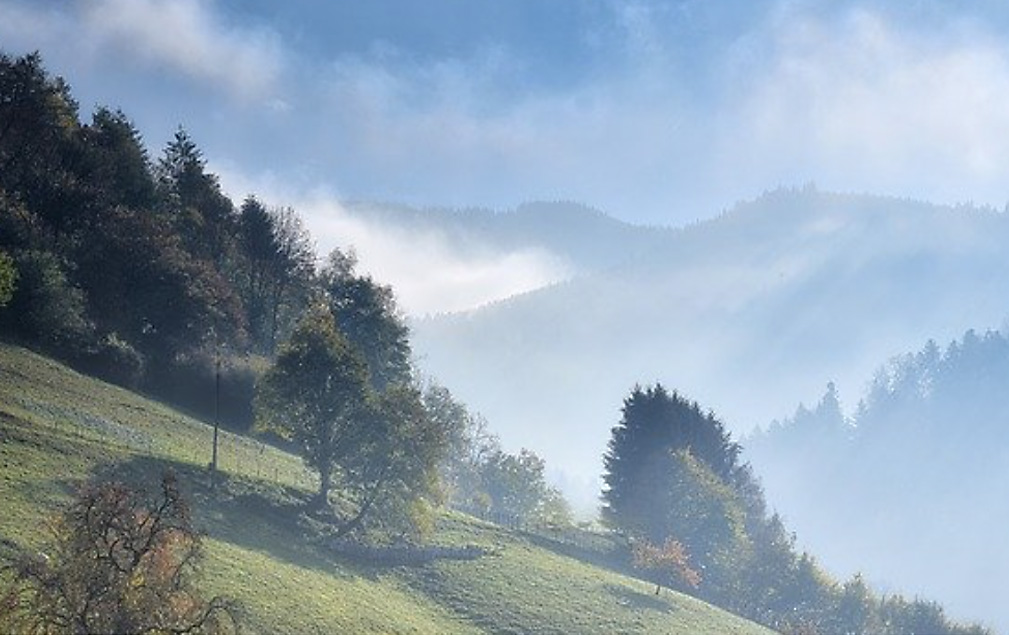 Imbery_bild_text_043